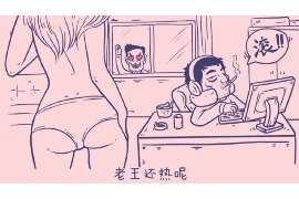 宝丰侦探公司：婚姻撤销办理程序